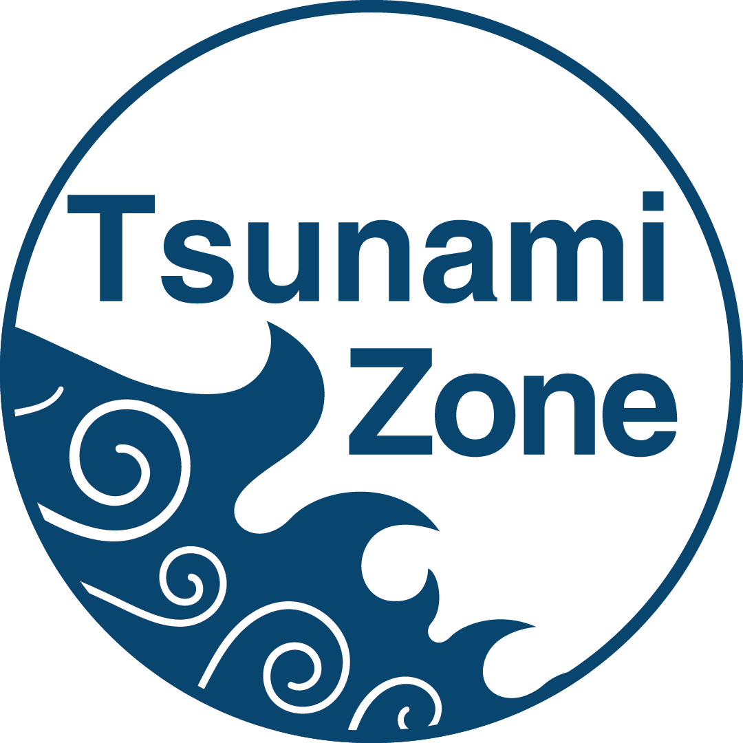 TsunamiZone Logo